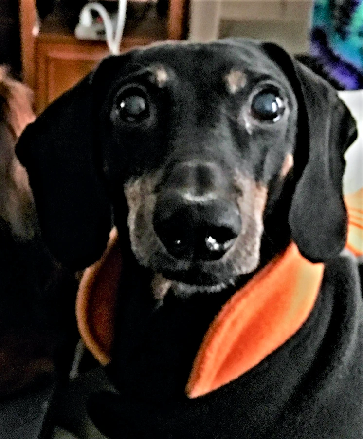 Baron